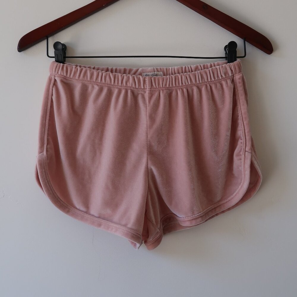 RARE John Galt (Brandy Melville) Velvet Mini Shorts